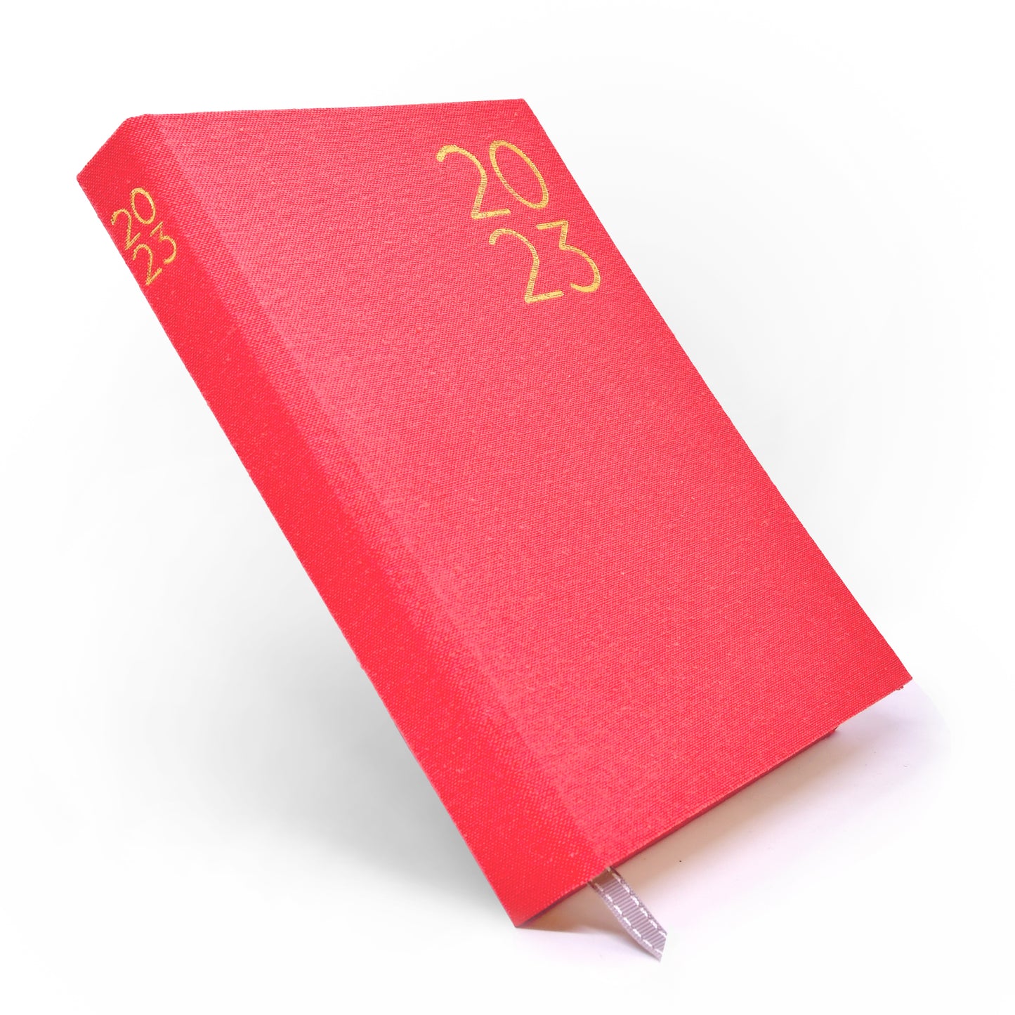2023 Daily Planner in Coral Reef