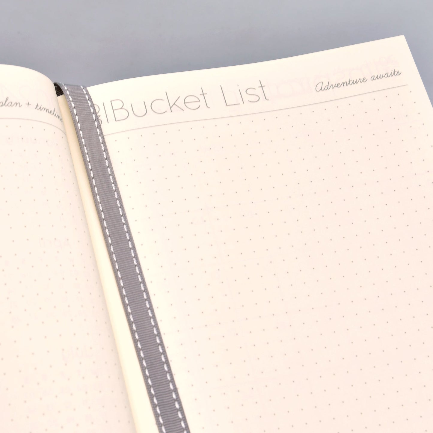 2023 Daily Planner in Coral Reef