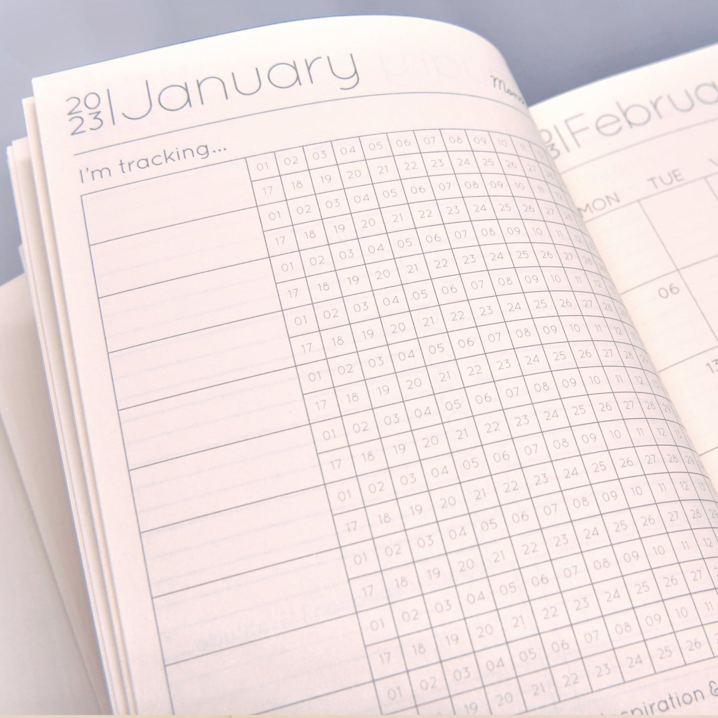 2023 Daily Planner in Coral Reef