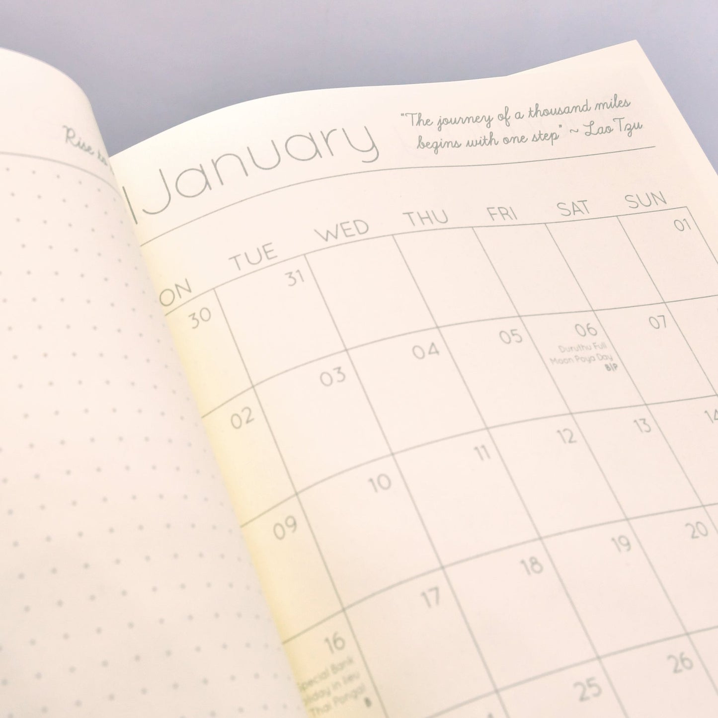 2023 Daily Planner in Coral Reef