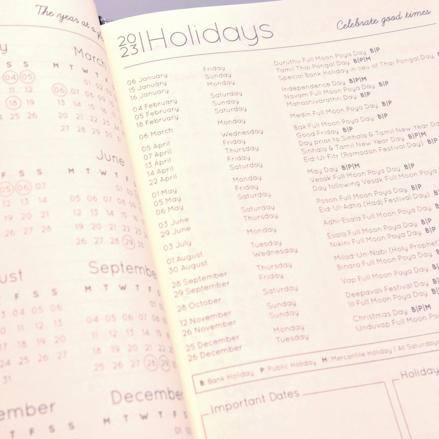 2023 Daily Planner in Professional Black