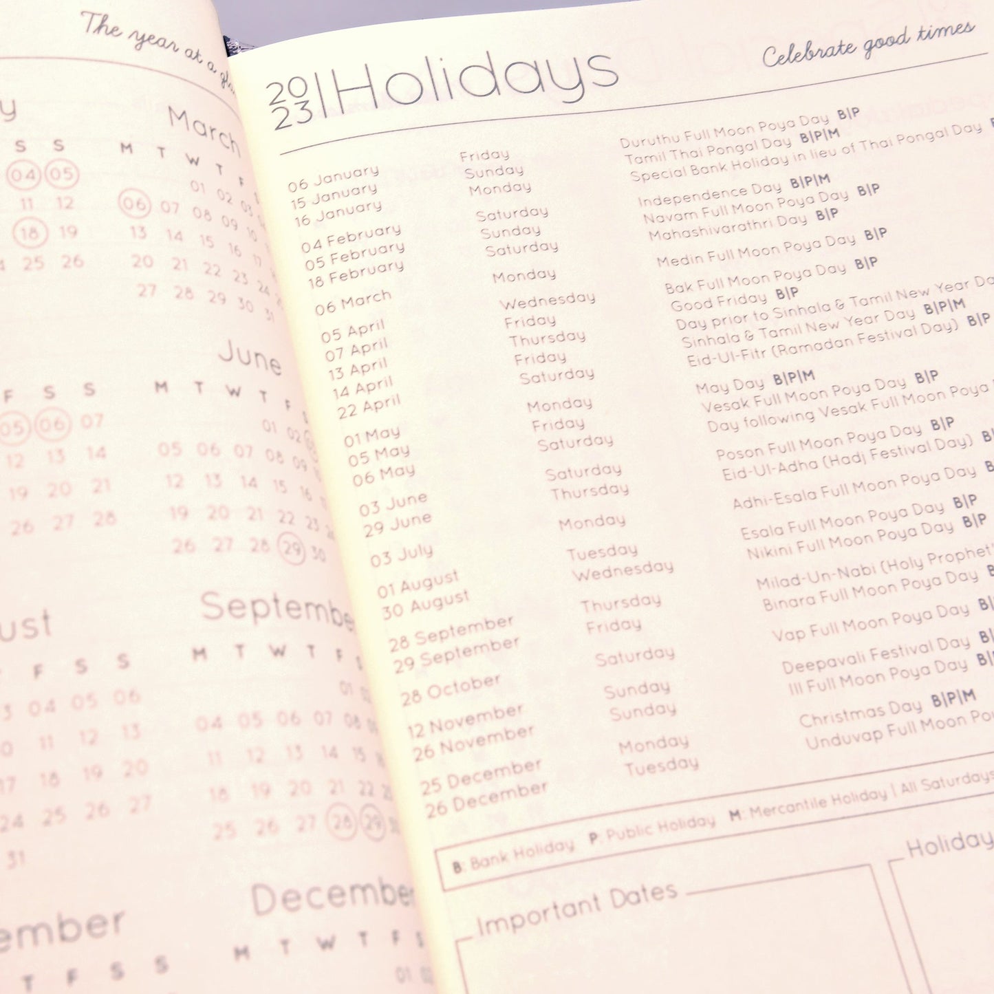 2023 Daily Planner in Back To School