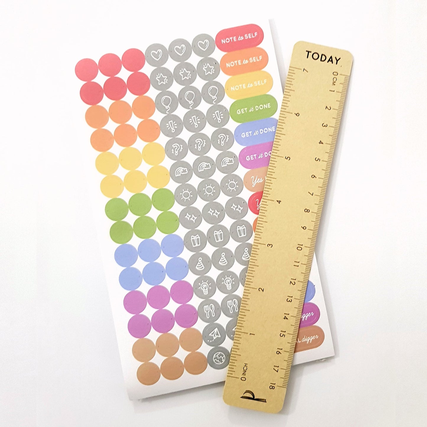 2023 Daily Planner in Coral Reef