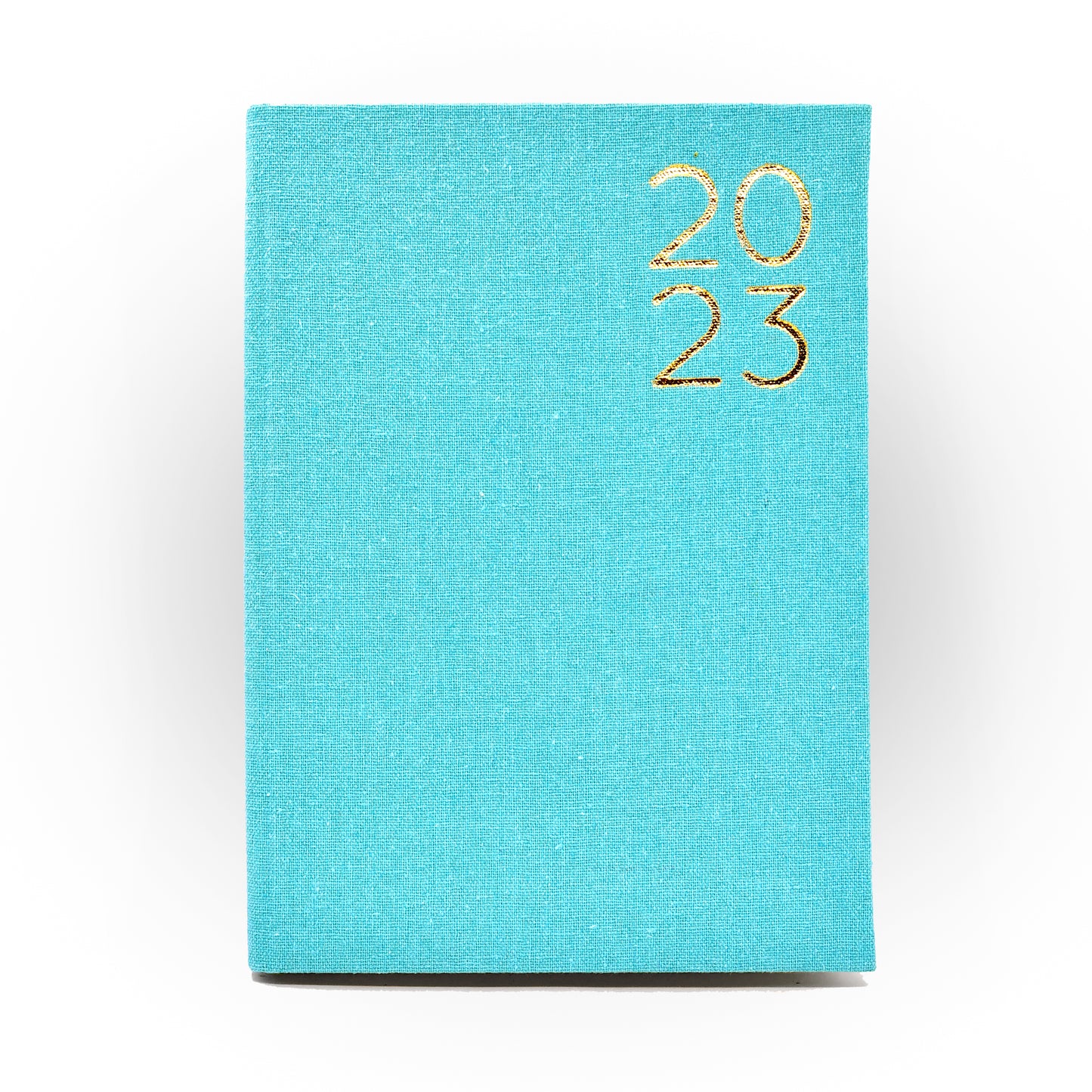 2023 Daily Planner in Pool Party