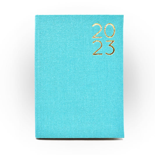 2023 Daily Planner in Pool Party