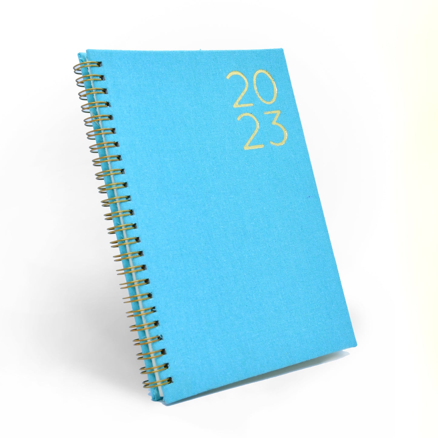 2023 Weekly Planner in Pool Party