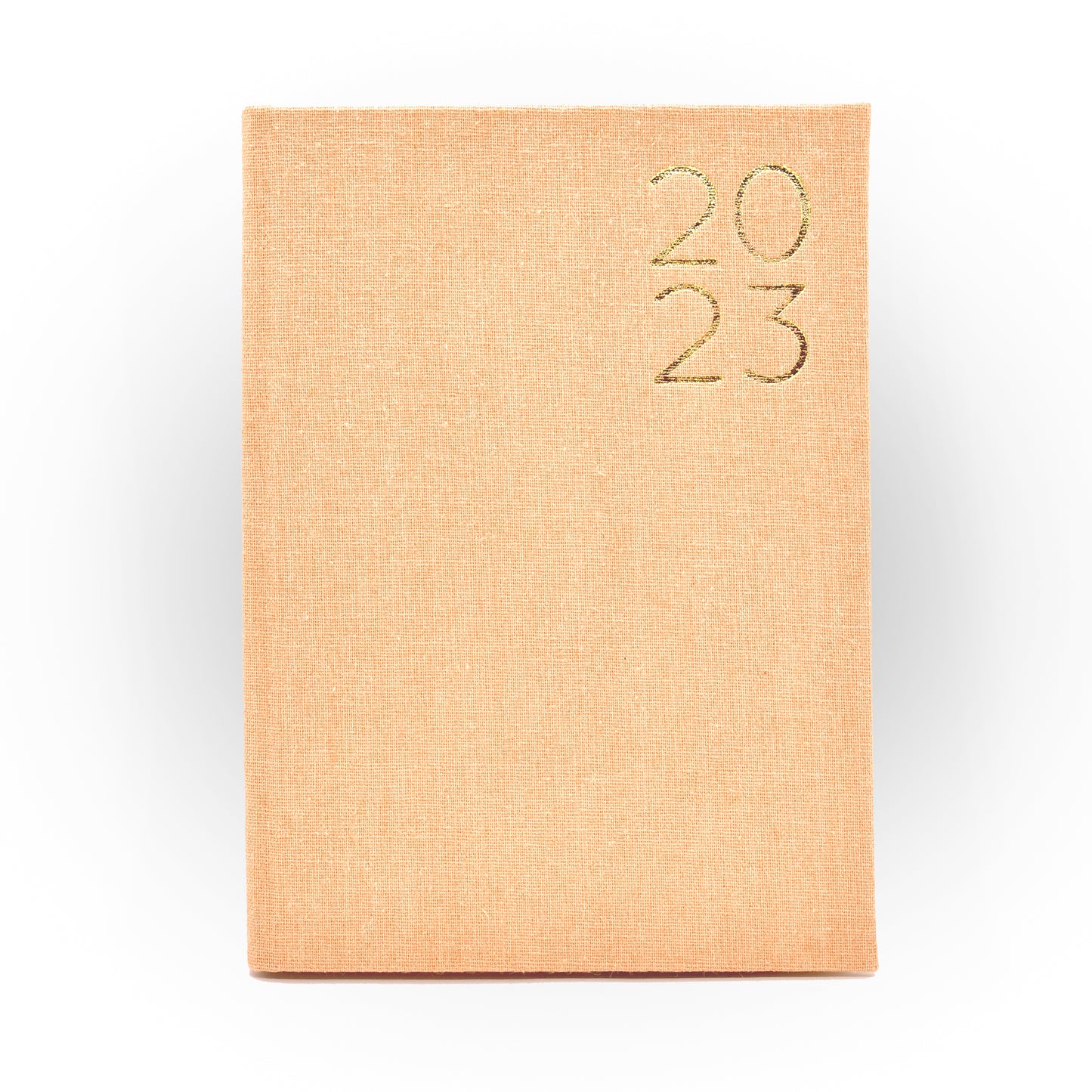 2023 Daily Planner in Sandcastle