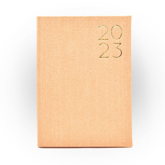 2023 Daily Planner in Sandcastle
