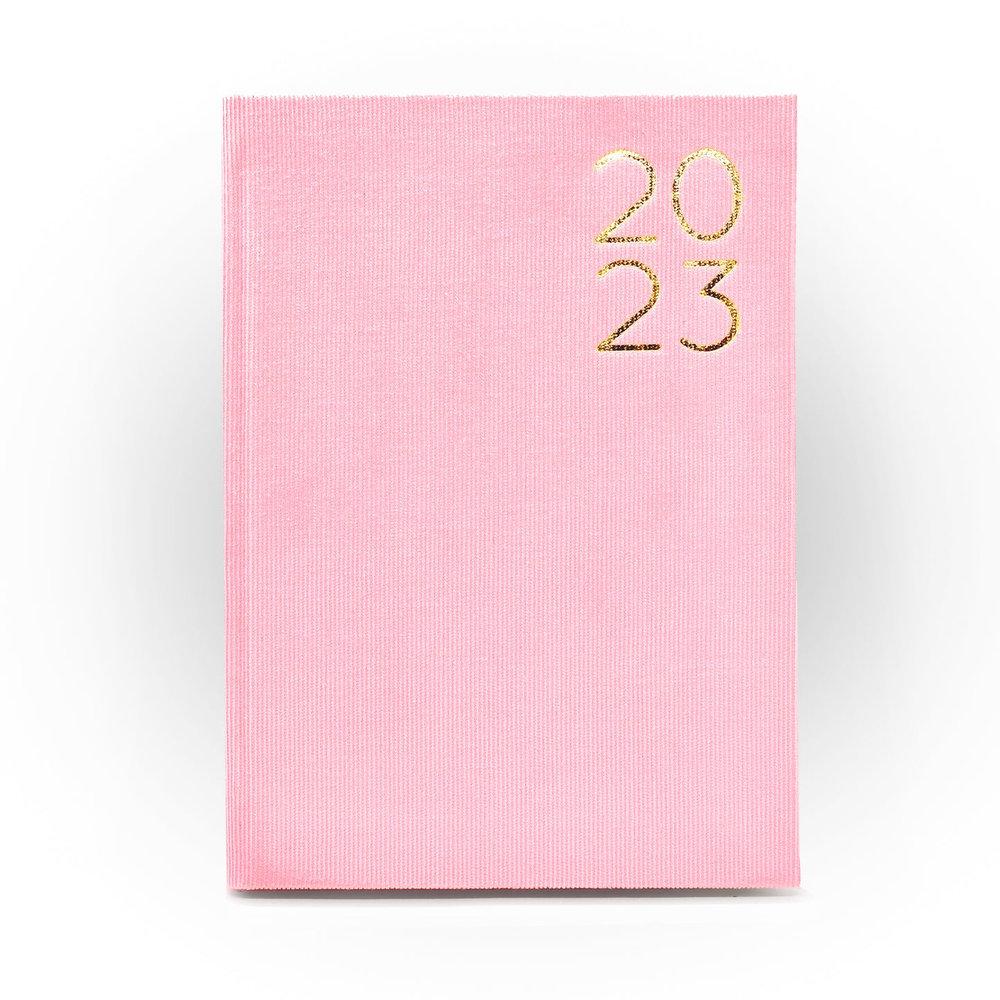 2023 Daily Planner in Seashell Dream