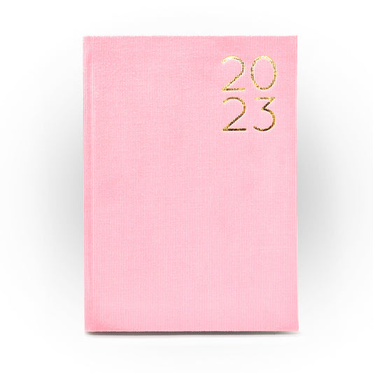 2023 Daily Planner in Seashell Dream