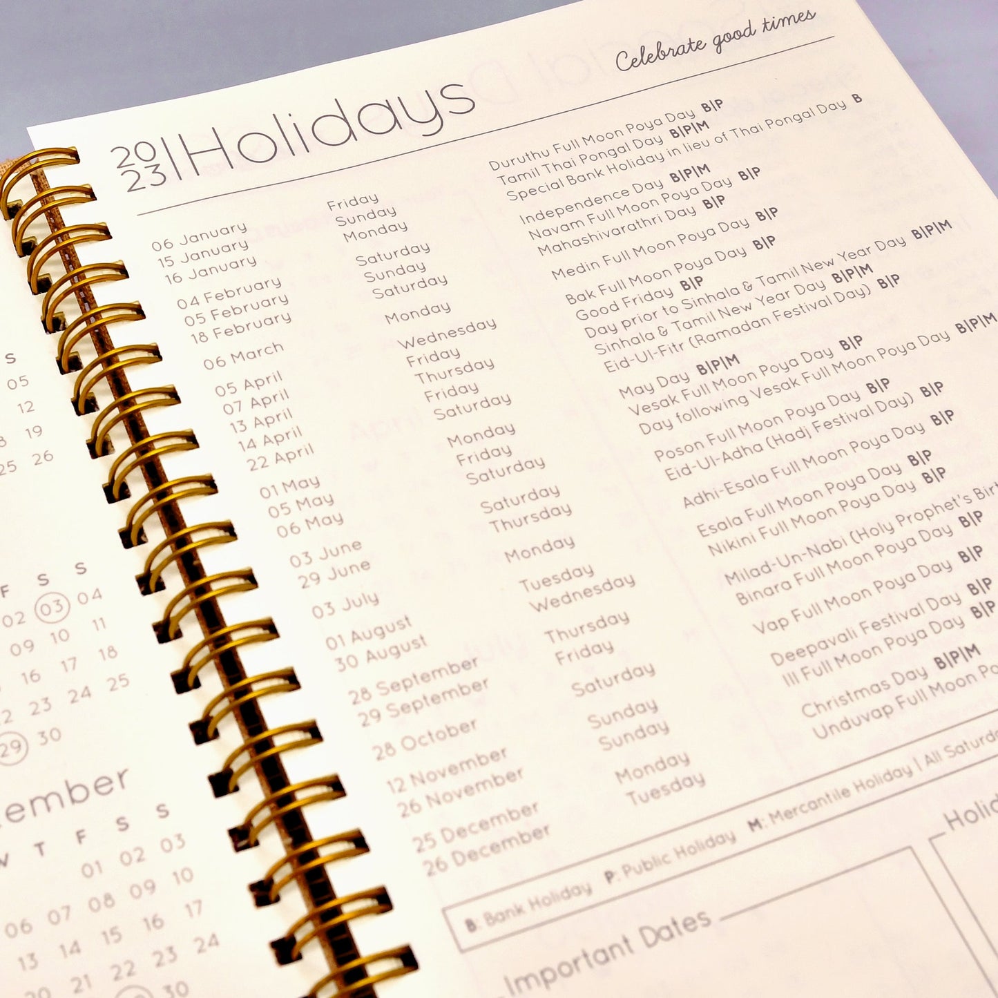 2023 Weekly Planner in Island Night