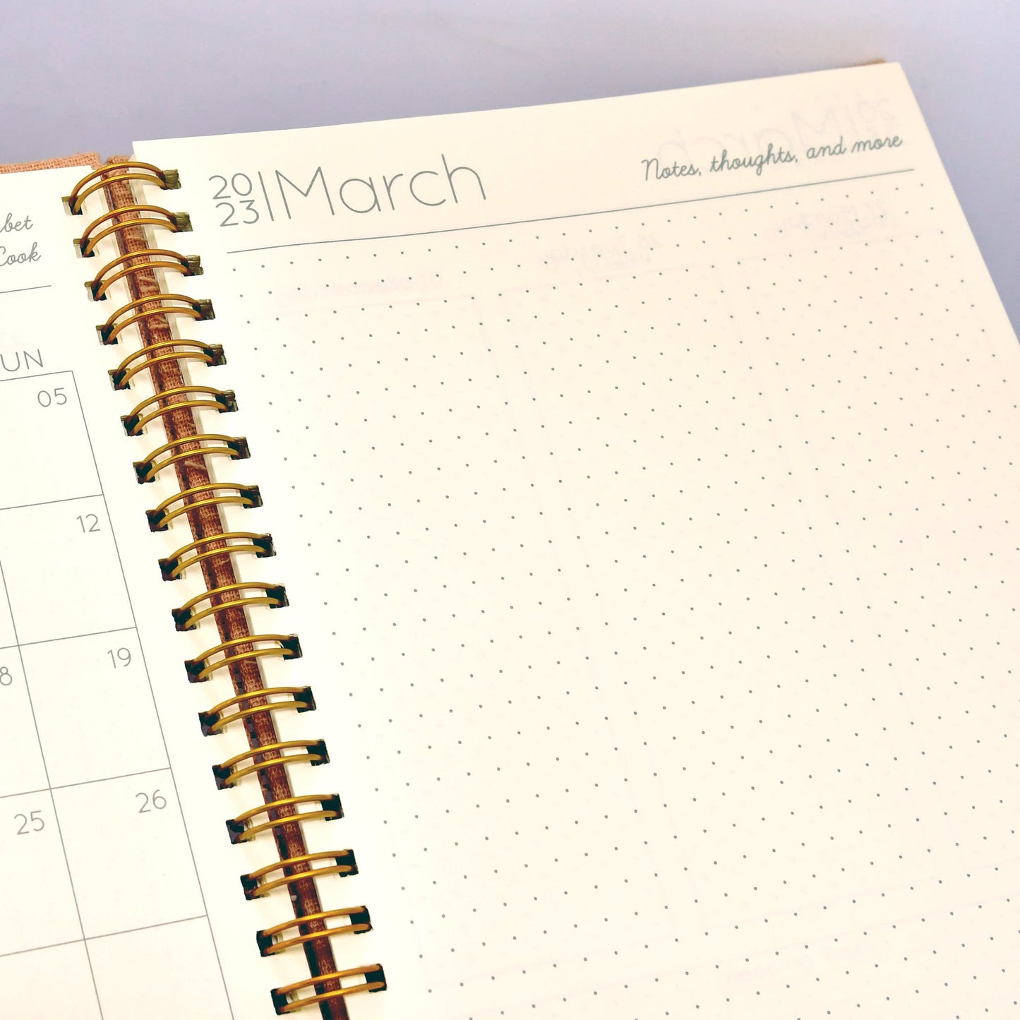 2023 Weekly Planner in Seashell Dream